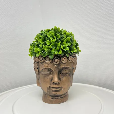 Studio, Hyper-centre, Palais De Justice Apartamento